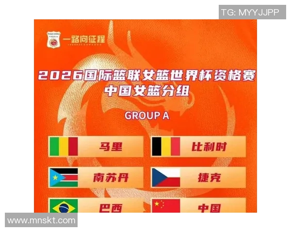 世界杯预选赛最新动态：各支球队晋级形势解析