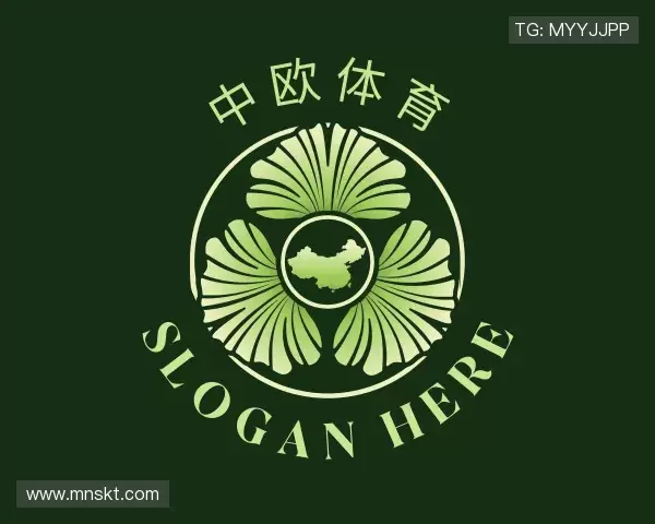 发现zoty中欧